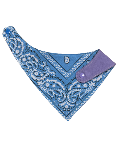 Paisley Print Bandana Bibs