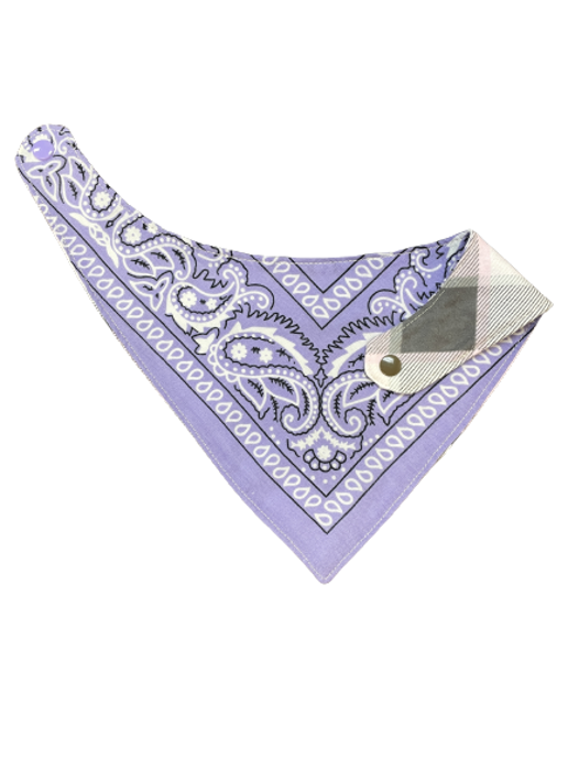 Paisley Print Bandana Bibs